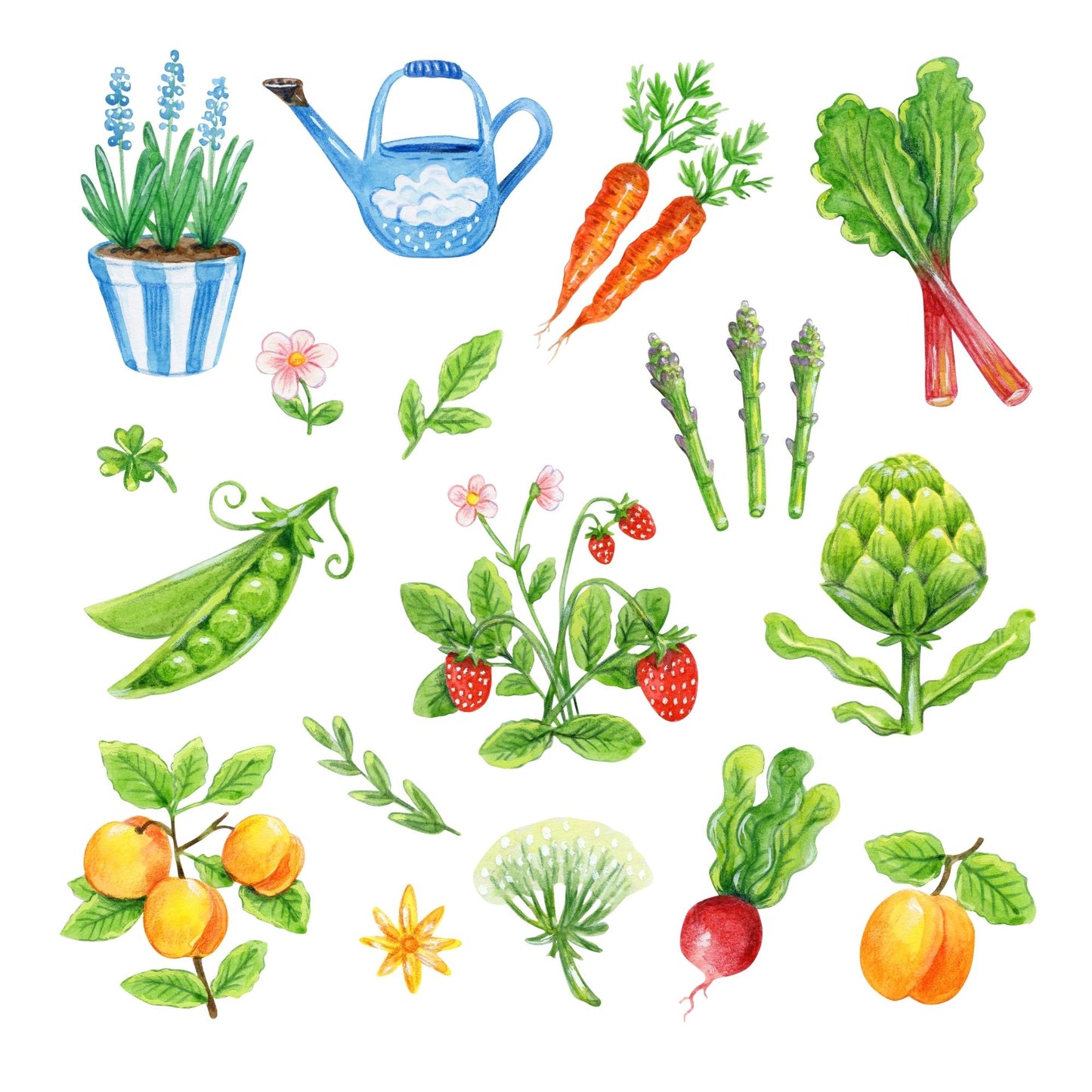 Illustrations clipart of various vegetables, fruits, and gardening items on a white background
