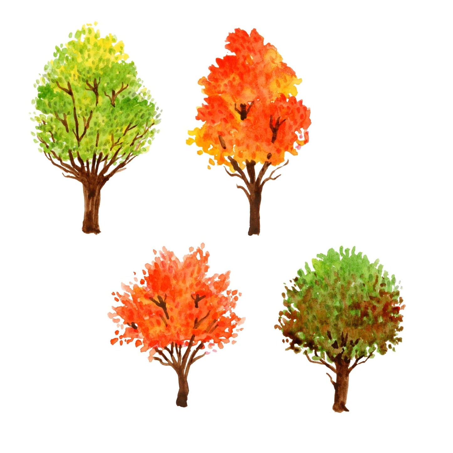 Four trees clipart representing different seasons on a white background