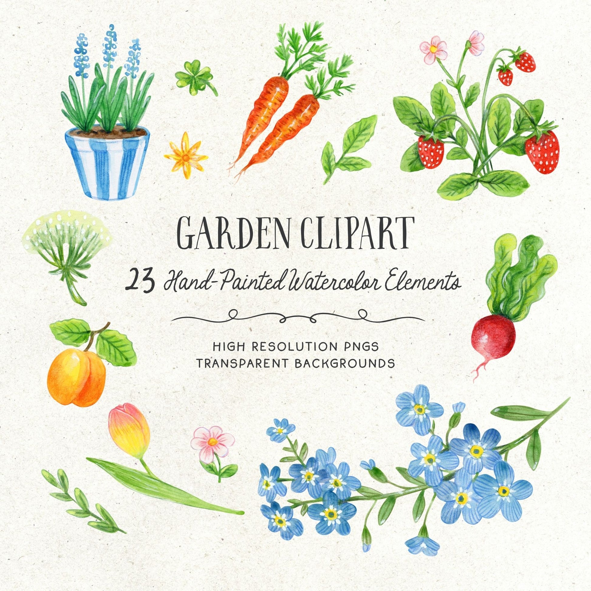 Garden clipart with hand-painted watercolor elements on a white background. Delicate watercolor clipart of spring flowers and blossoms in soft pastel tones.