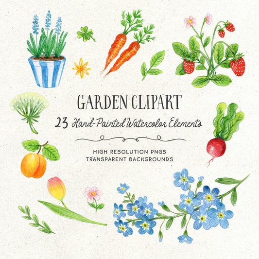 Garden clipart with hand-painted watercolor elements on a white background. Delicate watercolor clipart of spring flowers and blossoms in soft pastel tones.