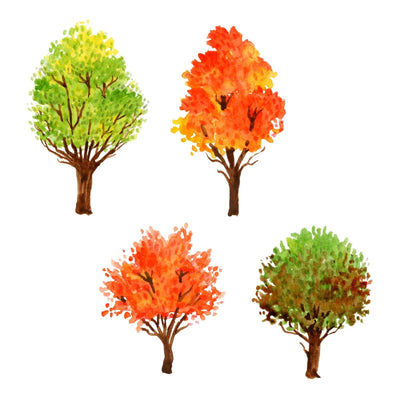 Four trees clipart representing different seasons on a white background